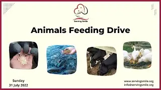 Week 1 || Food Drive by Serving Smile NGO