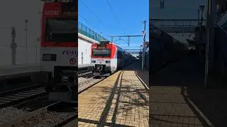 Cruce de trenes Renfe 449 y 450 📍 El Barrial #short