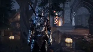 ESO | ARCTIC STAMINA WARDEN PVP BUILD | NECROM