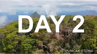 HIKING Part 2 | GUNUNG STONG BAHA AYAM - Misi Menawan 3 Puncak Gunung - BLOOD BROTHER HIKERS.