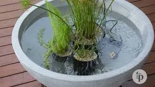How To Assemble Tuscan Path Water Features