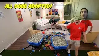 Mrbeast I rescued 100 dogs *Reaction* reupload