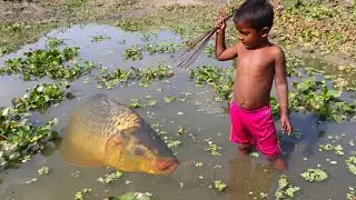Little Boy Hunting Big Fish By Traditional Way. Amazing fishing Video.
