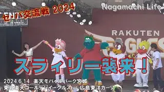 2024.6.14 セ・パ交流戦　広島東洋カープ　スラィリー来仙！