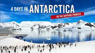 South America and Antarctic Cruise: 4 Days in Antarctica