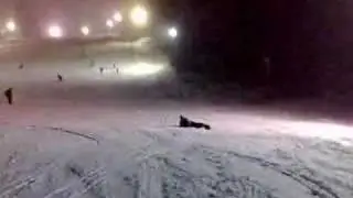 Videoanalyse Falk beim Ski fahren