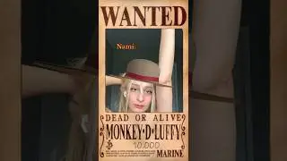 Nami vs One Piece Wanted Bounty Posters 🤣🔥