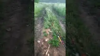 иду на Олею
