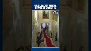 UAE President Mohammed bin Zayed Meets Putin in Kremlin Amid Global Tensions #shorts