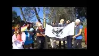 San Diego Hetalia Day 2014 Wavin' Flag