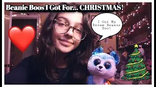 Beanie Boos I Got For Christmas! (2020)