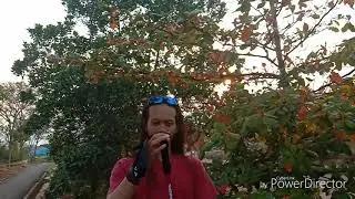 Tutorial memakai Tracking Pole
