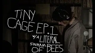 Tiny Cage Ep. 1 - A Literal Swarm Of Bees