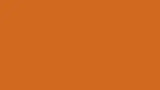 Chocolate Color Screen Image  4K 60FPS color code #d2691e Duration 12 hours