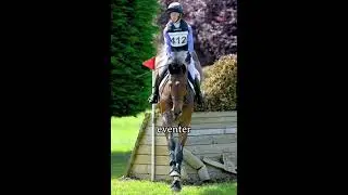 5 horse related jobs! #horse #blowup #edit #equestrian #yt #ytshorts #equine #equinejobs #ytshort