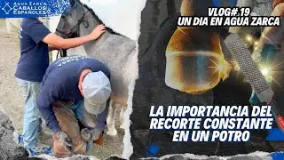 Vlog #19 ¿Por Que el Barefoot es CLAVE para el Desarrollo de un Casco Saludable? Un Día Agua Zarca