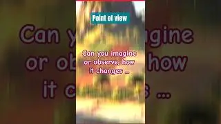 Point of view | Nature change with colour added | #ai #funny #shorts #trending