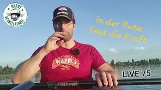 WATERVLOG  in der Ruhe liegt die Kraft