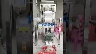 Granule Filling Machine,4 Scale Granule and Powder Packing Machine