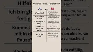 Welches Niveau sprichst du; A1 oder B1? #deutsch #lernen #german