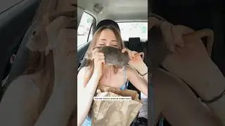 Кого хотите понюхать? :)