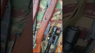 Mosin Nagants full collection #shorts