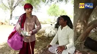 #Modren Faqeerni #Helmet #Ramzi & #Gulabo New Punjabi Comedy l  Funny Clip 2024   PP TV HDpk