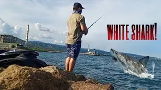 SHARK CAUGHT ON CAMERA | FISHING AT CITY OF NAGA CEBU | BOSS K PH