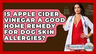 Is Apple Cider Vinegar A Good Home Remedy For Dog Skin Allergies? - Ask A Pet Vet