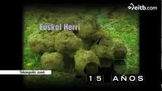 Recogida de trufas en Alava y Navarra