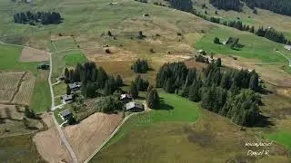 Les Mosses