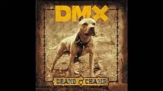 DMX Fuk Y'All