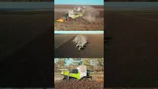 CLAAS TRION 🌾Абайская область #CTAGRO #CLAAS #CLAASTRION #ctagroclaas