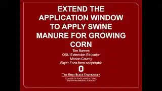 Applying Swine Manure on Emerged Corn provides efficient use of Nutrients