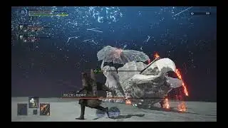 ELDEN RING NIGHTREIGN DEPTH 3 part 4