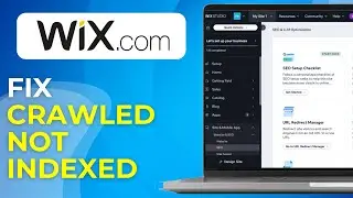 Как исправить ошибку &laquo;Сканировано, но не проиндексировано&raquo; в Wix Coverage