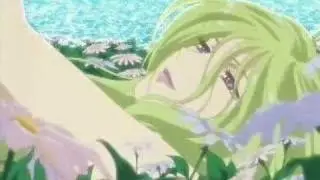 desert rose amv