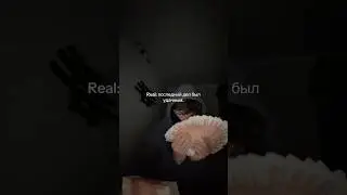 Как делать миллионы рассказал в тгк: RUSMTEAM #rec #nekoglai #richlifestyle #rap #rich #топ #rek