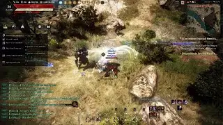 Black Desert_20260112223901