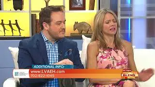 Preparing For A Pet Emergency