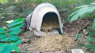 374- 🏠 Shelters For The Homeless Cats in The Woods @Catman757