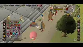 Osrs Mobile risk fighting