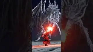 The BEST DRAGONFIGHT! #eldenring #metal #memes  #music #gamingmemes #eldenring