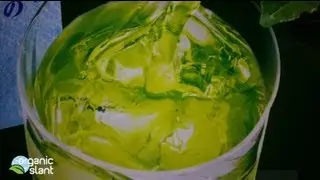 Radiation Monitor USDA Organic Green Tea Japanese Shizuoka 12-19-2012 | Organic Slant