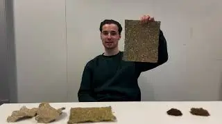 Amsterdam University of Applied Sciences &ndash; Christmas Tree Revolution (2025)