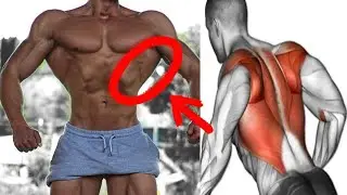 أقوى تمارين الظهر - 10 أنواع كمال الأجسام - back workout