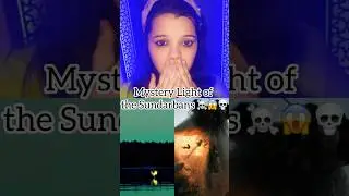 Mystery light of the Sundarbans😱💀#sundarbans #horrorstories #bhoot #ghost #scary #mystery