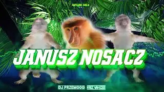 Janusz Nosacz (Dj Przemooo & KriZ Van Dee 4Fun Remix) 🦧 █▬█ █ ▀█▀