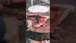 Satisfying Fish Cutting l Asmr Fish Cuts #fishingvideo #fishcutting #fishing
