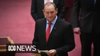 Entire parliament condemns Fraser Anning's controversial maiden speech | ABC News